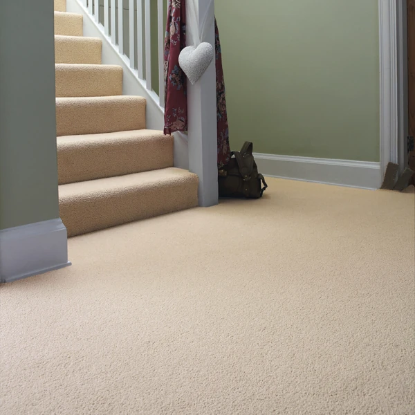 Soft beige fitted carpet on stairs and entryway