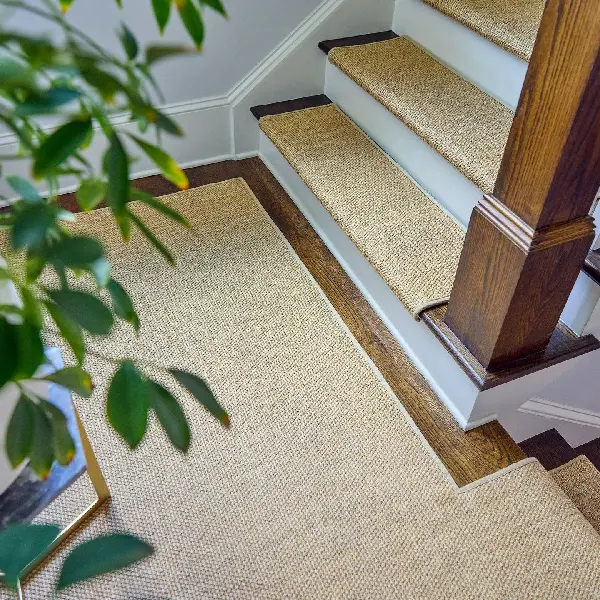 textured carpet stair treads on white stairs with dark wooden edges